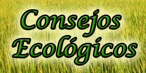 Consejos Ecol&oacute;gicos al visitante