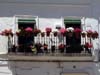 Balcones